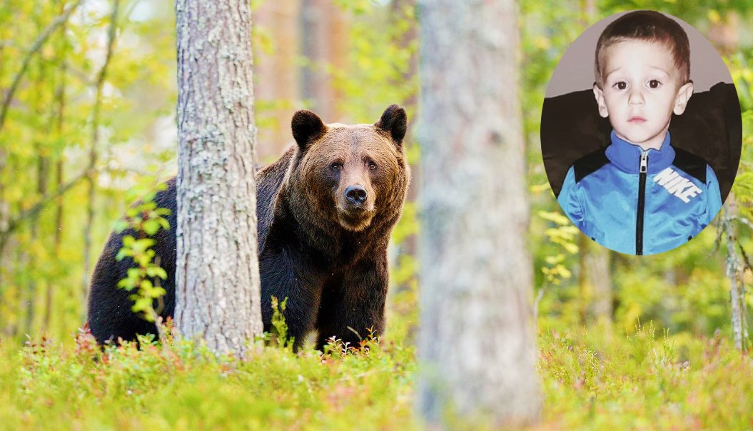 Cậu bé 3 tuổi mắc kẹt trong rừng được mãnh thú bảo vệ trong suốt 2 ngày