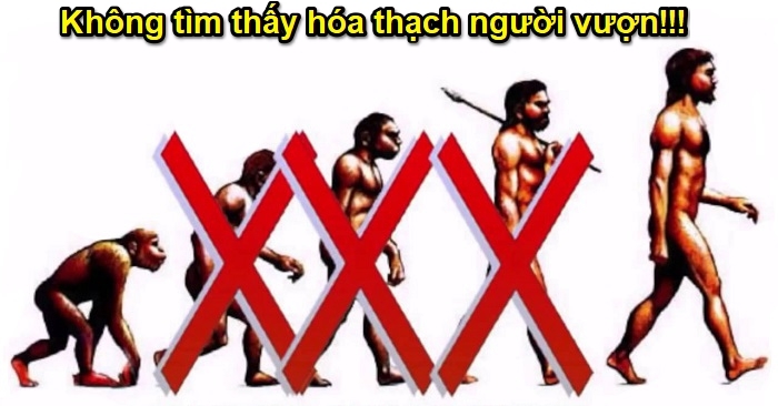 Không thể tìm thấy hóa thạch ‘Người-Vượn’: Con người không phải từ vượn tiến hóa mà thành