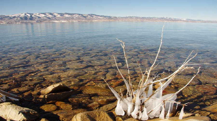 Đủ kiểu sinh vật kỳ quái ở bang Utah nước Mỹ (P1)