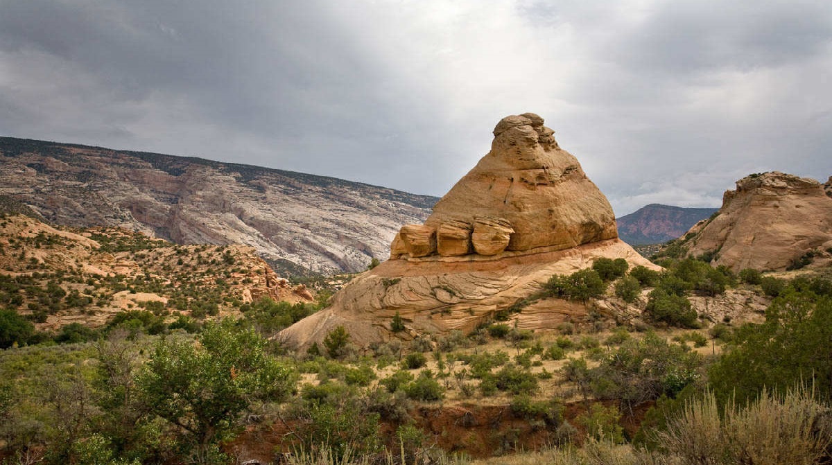 Đủ kiểu sinh vật kỳ quái ở bang Utah nước Mỹ (P2)