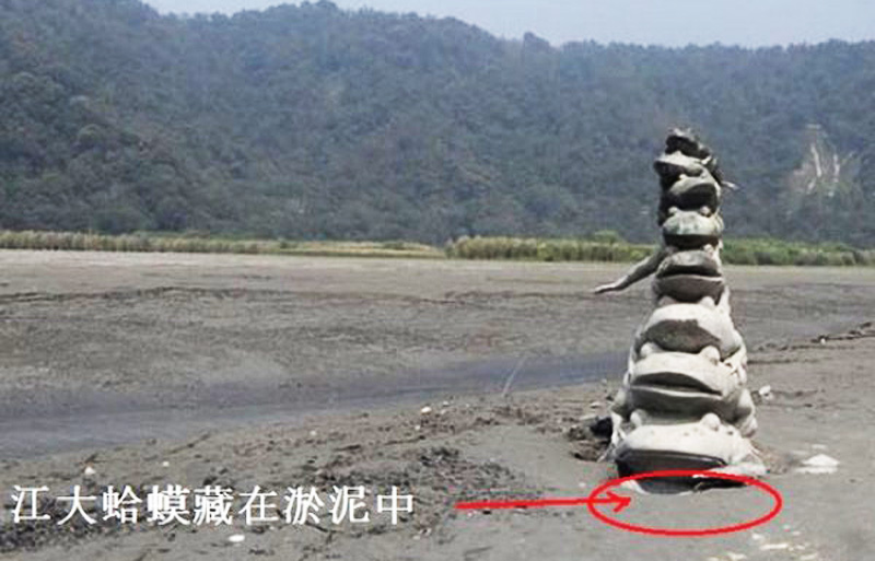 Bí mật phong thủy: Đài Loan được cứu khi đào bỏ “cóc 9 tầng” ở hồ Nhật Nguyệt