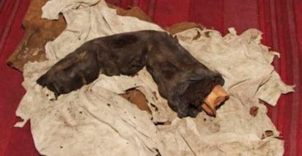 6 bằng chứng cho thấy người khổng lồ từng sinh sống trên Trái Đất