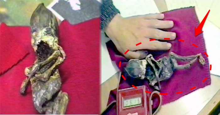 Xác ‘người ngoài hành tinh’ ở Nga là hậu quả đáng sợ của thảm họa hạt nhân