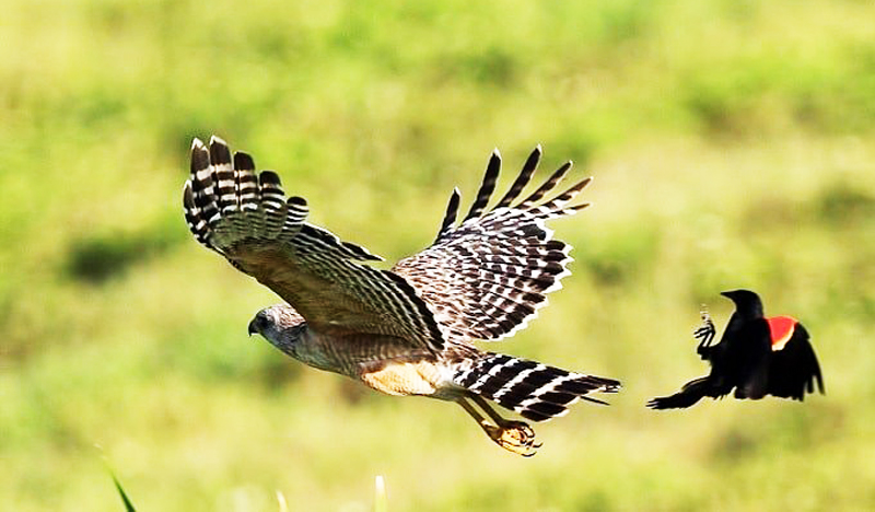 An nhàn như rượu độc sẽ hại chết bạn, hãy tự tạo cho mình một ‘vách núi’