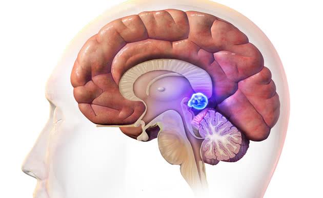 Giải mã bí ẩn ‘Con mắt thứ ba’ (P2): Thực sự có một con mắt trong bộ não người