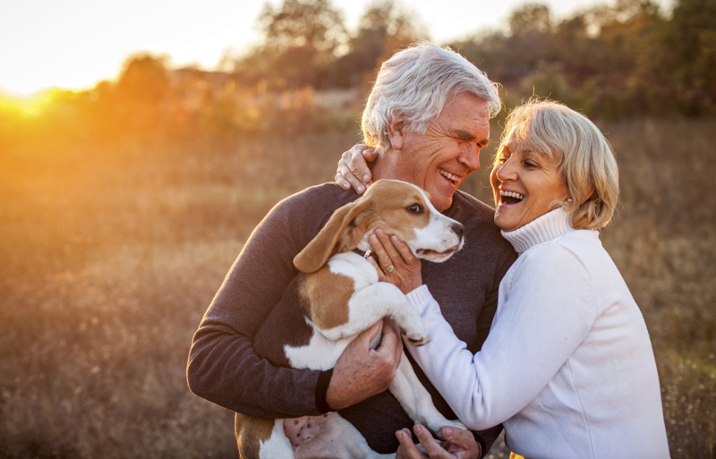 Sau 60 tuổi mới hiểu được những đạo lý này, ngẫm ra thật vô cùng sâu sắc