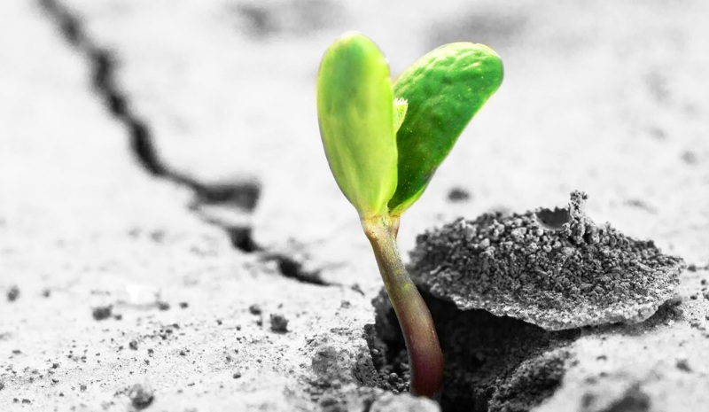 3 câu nói giúp xem nhẹ những việc không như ý trên đời