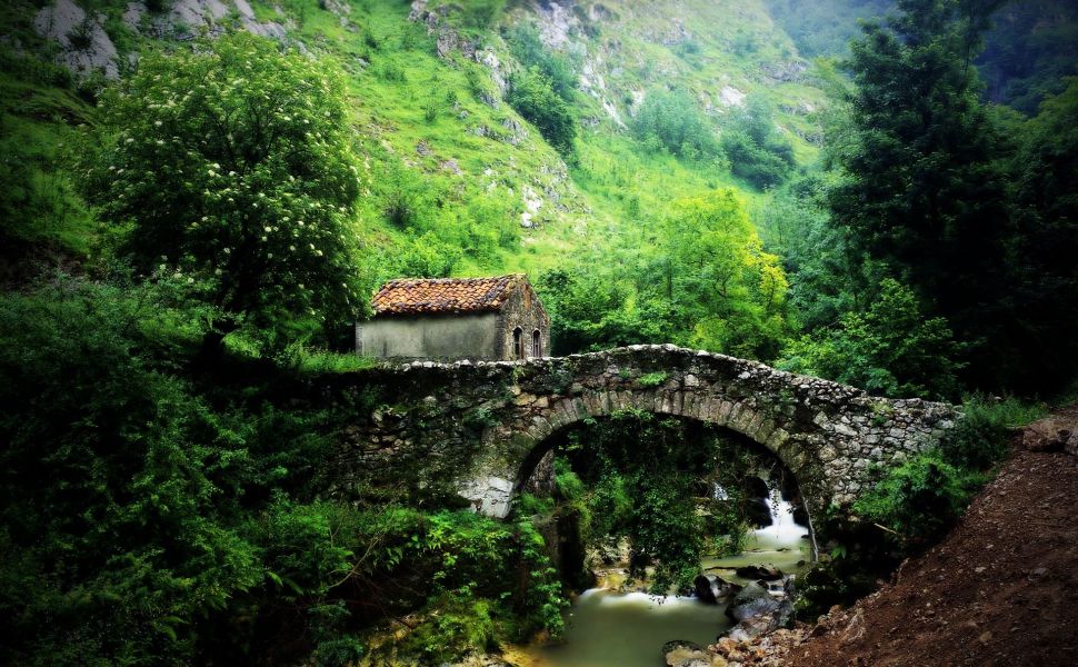 Tuyệt vọng lên núi Nga Mi tự sát, cuộc gặp gỡ kỳ lạ khiến tôi tin rằng Thần Phật thực sự tồn tại