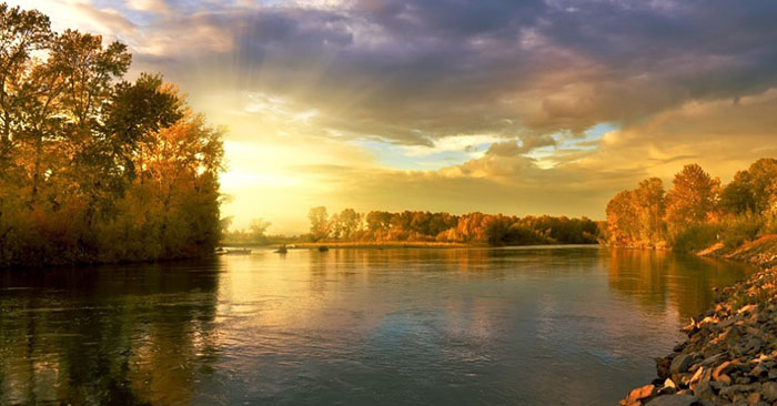 Dư lượng thuốc kháng sinh trên các con sông toàn thế giới vượt ‘ngưỡng an toàn’
