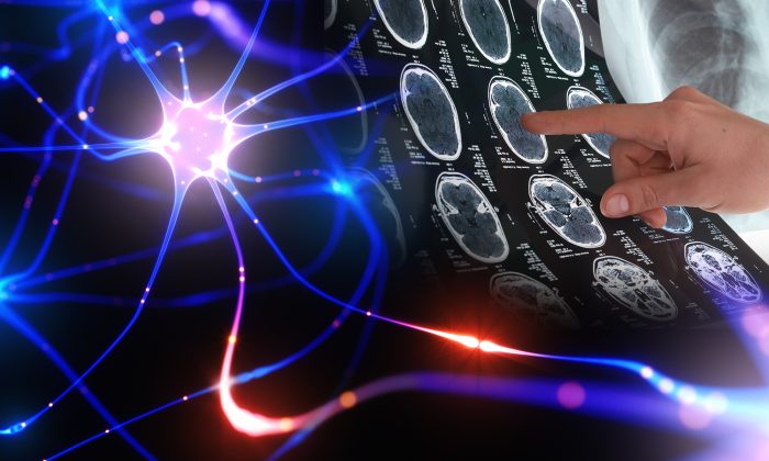 Ý thức con người vẫn hoạt động ngay cả khi cơ thể đã chết