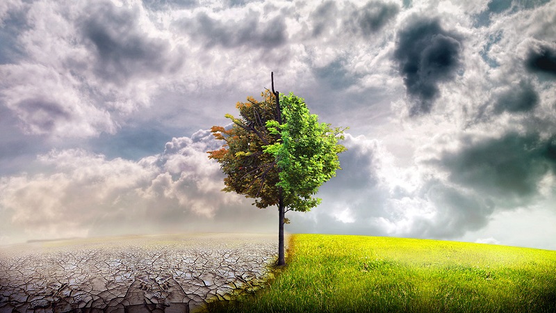 Trước sự sống và cái chết, tất cả con người đều bình đẳng