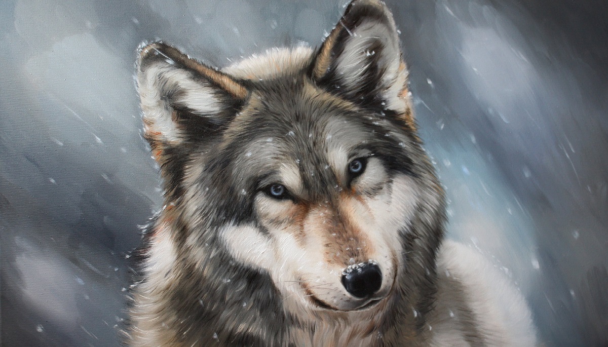 Lời nhắn của sói con: Thân người khó đắc, xin hãy trân quý để tu hành