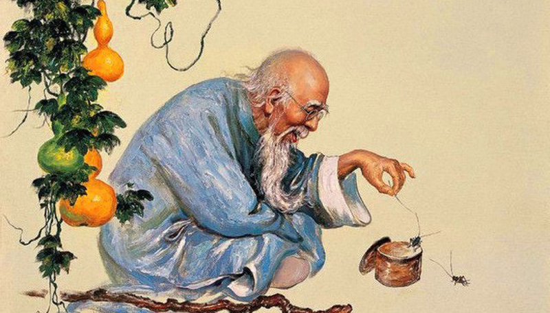 Thuốc trường thọ rẻ nhất thế giới không ngờ lại nằm ở hai chữ “bận rộn”