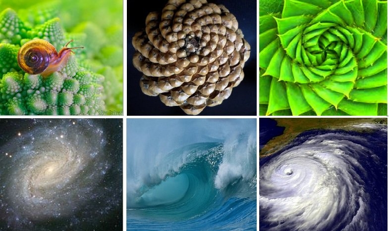 Tỷ lệ vàng – Mật mã không thể lý giải của vũ trụ