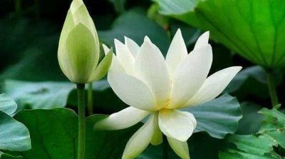 Đại Pháp đã nâng cao đạo đức của tôi