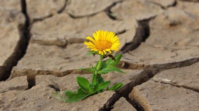 Nhân sinh cảm ngộ: Bên trong sinh mệnh mỗi người vẫn không ngừng tìm kiếm…