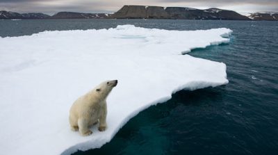 Bắc Cực: Xuất hiện những cơn bão khiến băng tan với tốc độ chóng mặt nhất