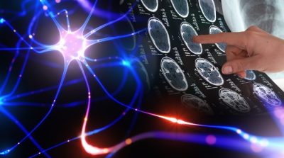 Ý thức con người vẫn hoạt động ngay cả khi cơ thể đã chết