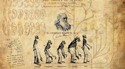 Học thuyết Darwin – Một chủ đề cấm