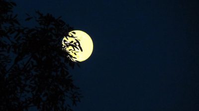 Mặt trăng và cơ thể người liệu có liên quan tới nhau?