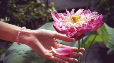 Nhân sinh cảm ngộ: Giàu nghèo cũng như nhau