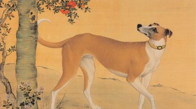 Vạn vật đều có linh: Gặp chuyện oan khuất, chó cũng biết tố cáo