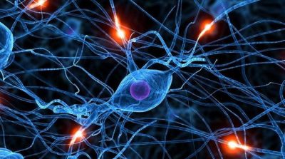 Lời thức tỉnh từ thế giới vi quan: Cơ chế hư hỏng của tế bào ung thư