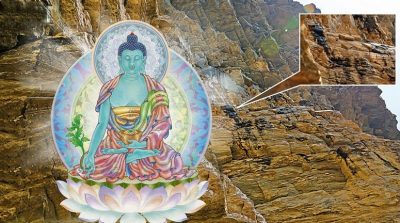 Hỉ lai chi – Linh dược nơi đất Phật Bhutan để cứu chúng sinh trong thời mạt pháp