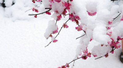 Trà thơm phải hãm nước sôi, người muốn vang danh phải qua tôi luyện