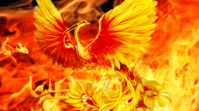 Vì sao chim phượng hoàng là biểu tượng của sự tái sinh từ đống tro tàn?
