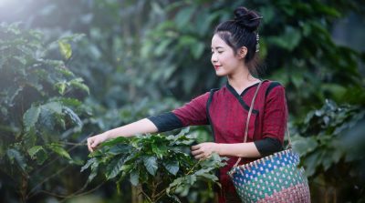 7 vị thuốc trị tâm trong đời