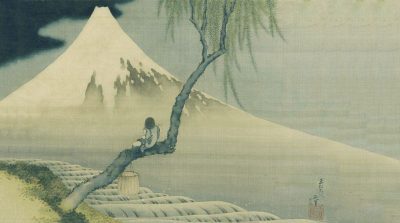 Vì sao nói ngốc nghếch lại là đại phúc?