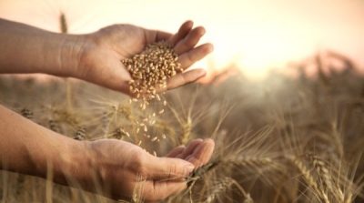 Liên Hiệp Quốc cảnh báo: Nạn đói lớn như ghi trong Kinh Thánh sẽ tấn công 260 triệu người trên thế giới