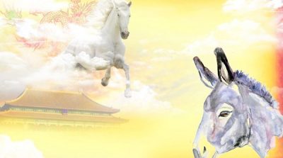 Cuộc đời ngắn lắm ai ơi, sống không uổng phí mới thời sống vui